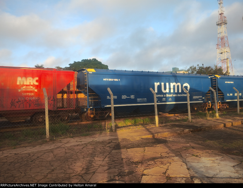 RUMO HTT-353165-1